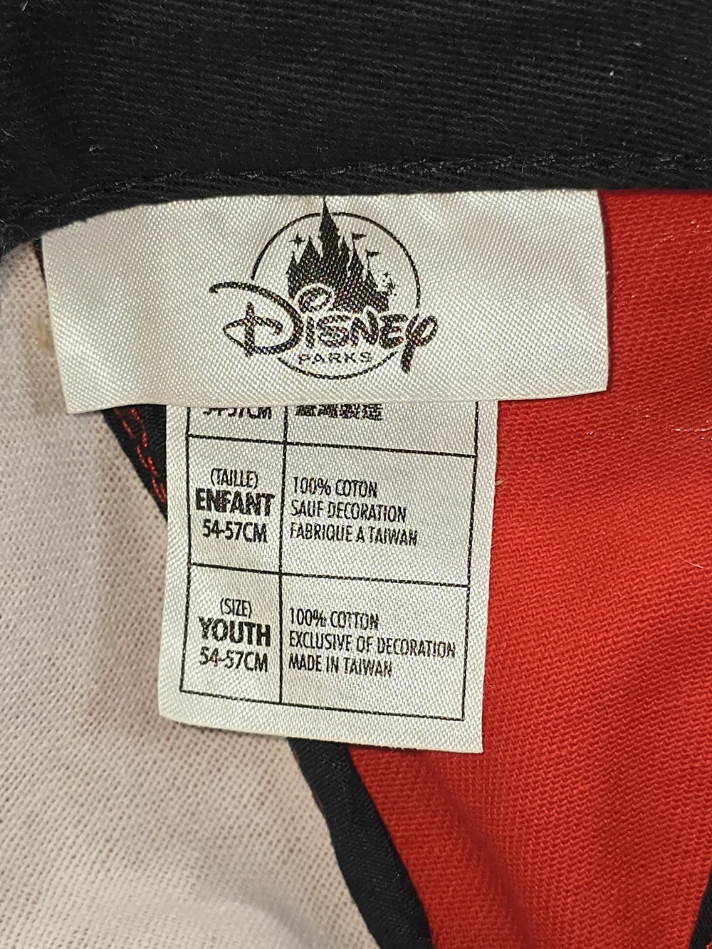 Disney parks minnie